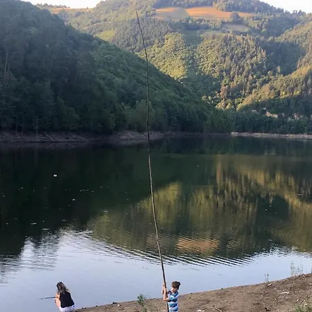 Baraj Apuseni Mountains Holiday home