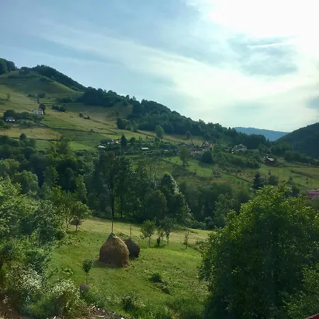 Baraj Apuseni Mountains Holiday home *