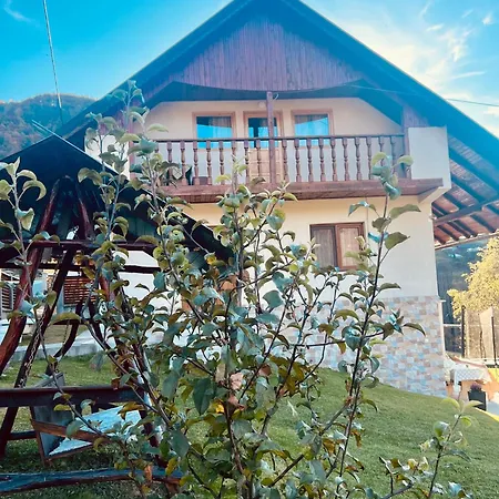 Holiday home Baraj Apuseni Mountains Mihoesti