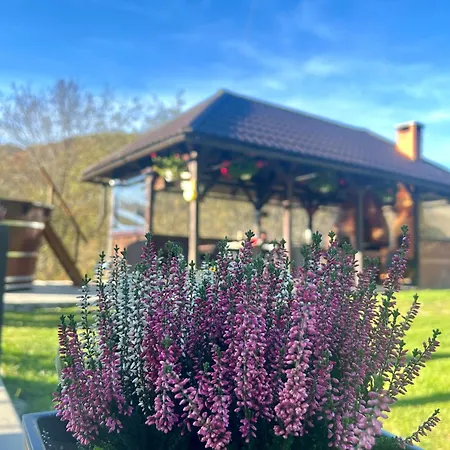 Baraj Apuseni Mountains Holiday home