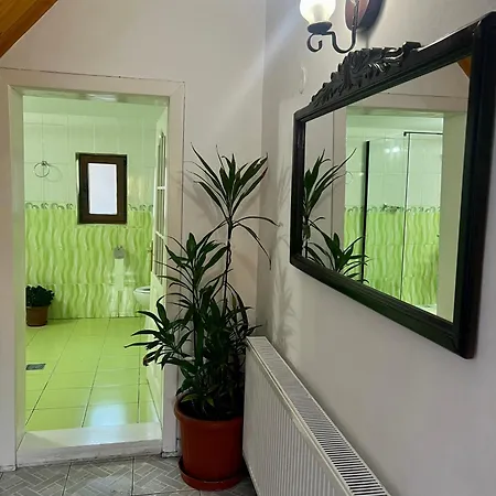 Baraj Apuseni Mountains Holiday home Mihoesti